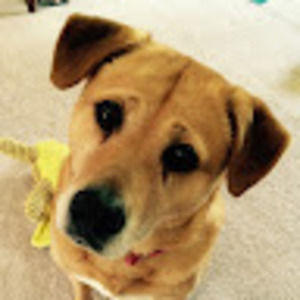 Meet your Posher, Sophia